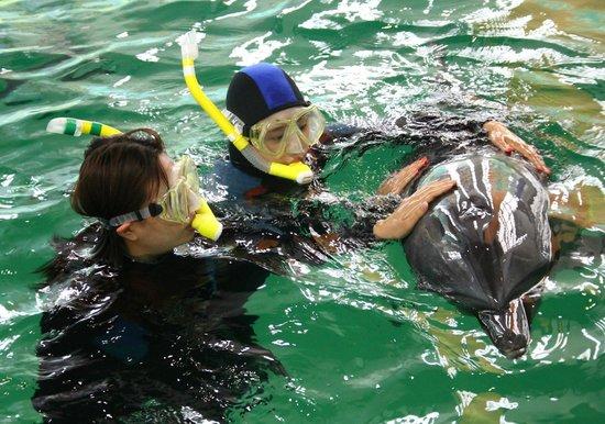 Activité ludique Marine Park